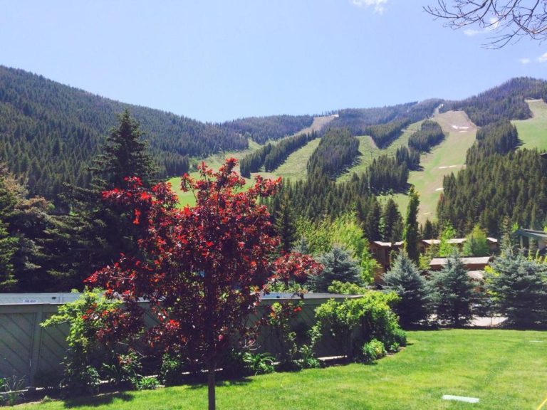 picabost Sun Valley Life Real Estate in Sun Valley, Idaho