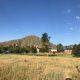 grassy field, trees, and mountains at 931 buckhorn drive