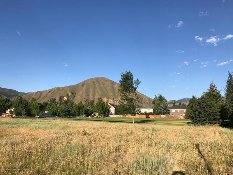 grassy field, trees, and mountains at 931 buckhorn drive