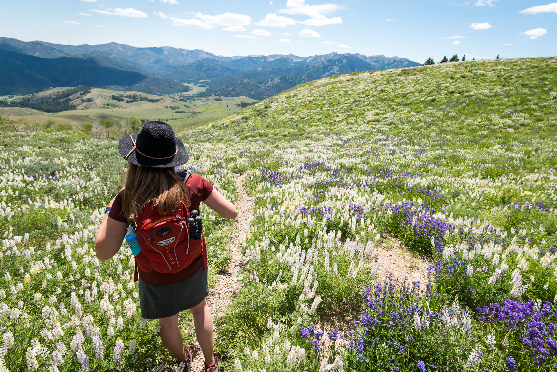 Our 5 Favorite Hikes in Sun Valley | Sun Valley Life | Real Estate